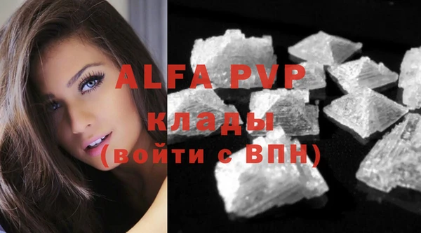 кокс Белокуриха