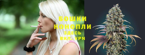кокс Белокуриха