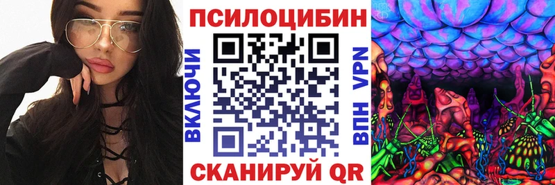 Псилоцибиновые грибы мицелий Купино
