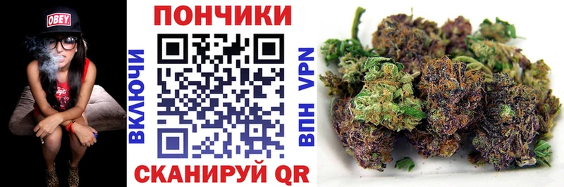продажа наркотиков  Купино  Канабис AK-47 